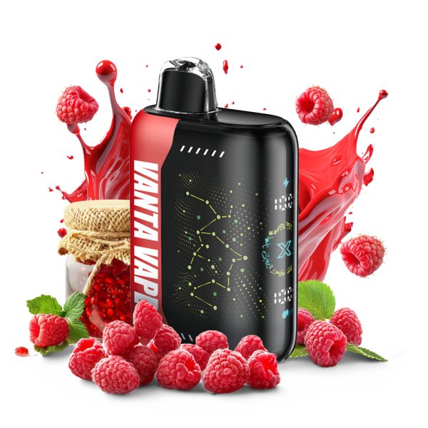 Vanta Vape Pulse X Disposable Vape Device - Raspberry Jam