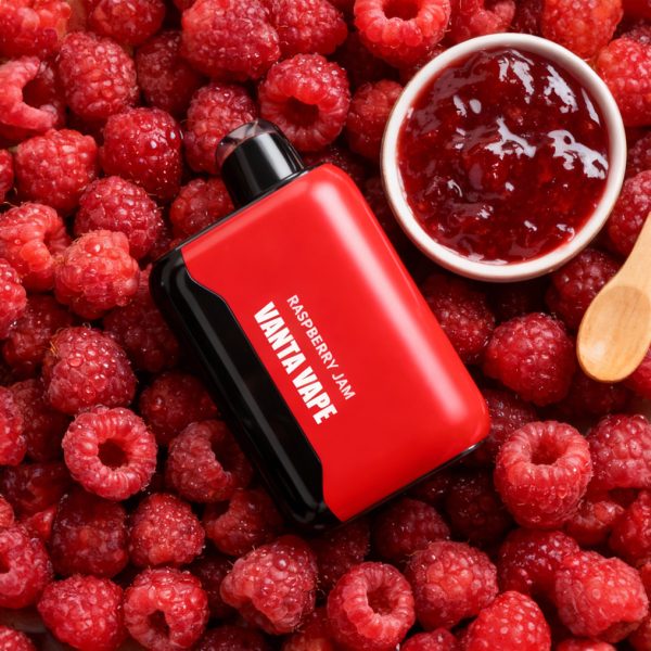 Second image of Vanta Vape Pulse X Disposable Vape Device - Raspberry Jam