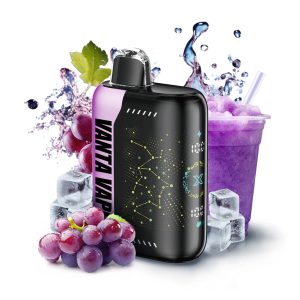 Vanta Vape Pulse X Disposable Vape Device - Grape Ice