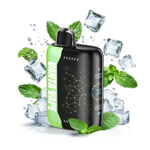 Vanta Vape Pulse X Disposable Vape Device - Miami Mint